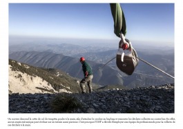 mont_ventoux-02