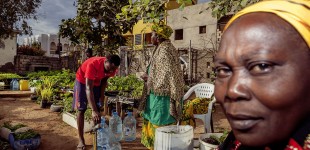 Food Security: Urban Garden in Dakar, Senegal