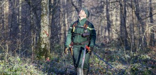 Exploiter la forêt est un acte de gestion durable