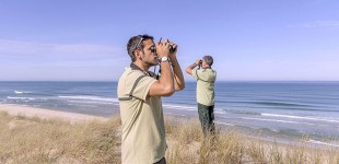 ONF, Un Reseau pour la Biodiversité des Oiseaux